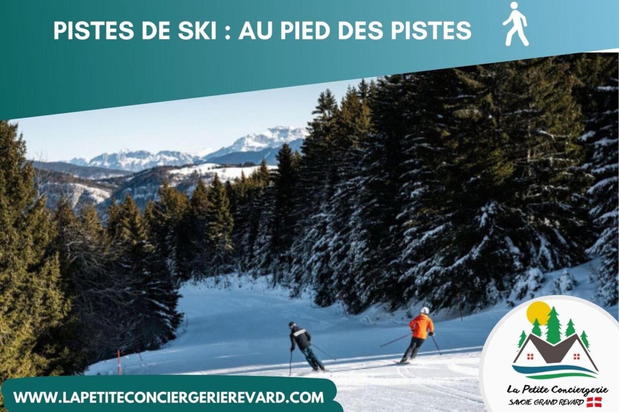 Chaleureux Studio Au Pied Des Pistes - Le Refuge 莱代塞尔 外观 照片